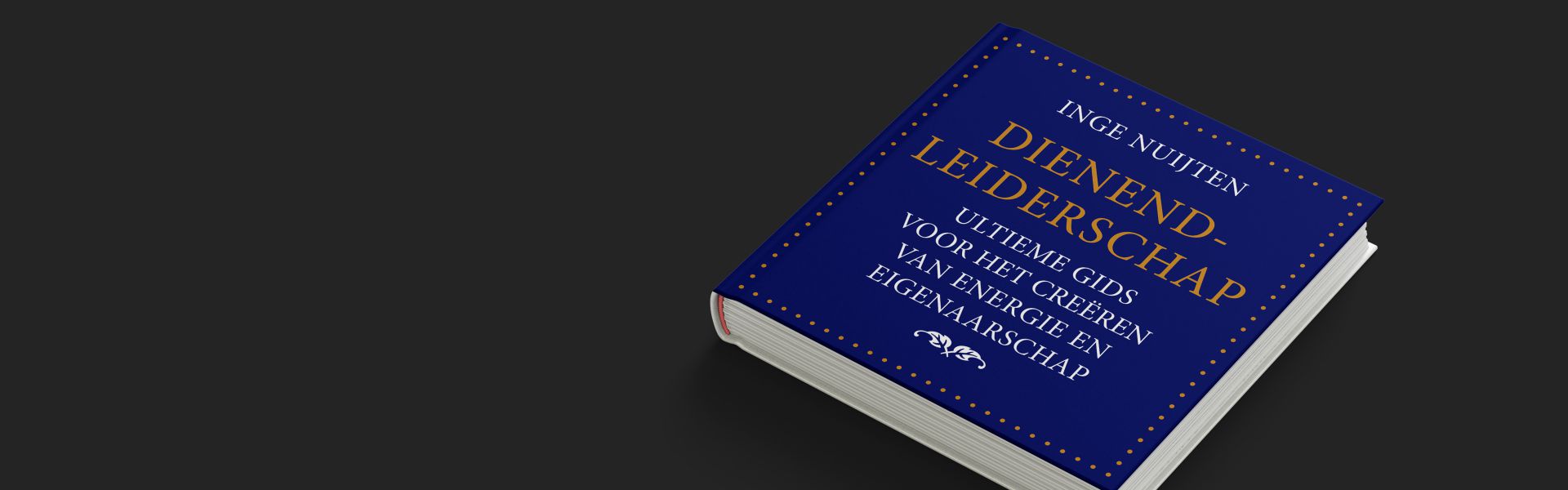 Dienend Leiderschap: de gids voor energie en eigenaarschap in je leven en werk 